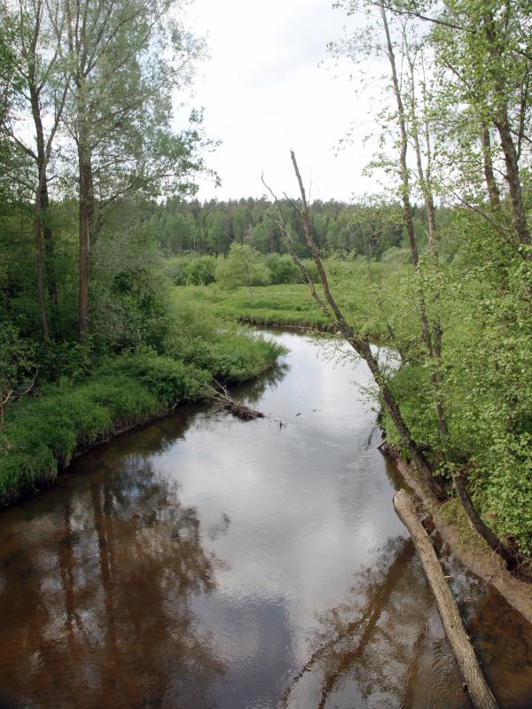 File:Tartumaa_Elva jõgi ja luht.jpg
